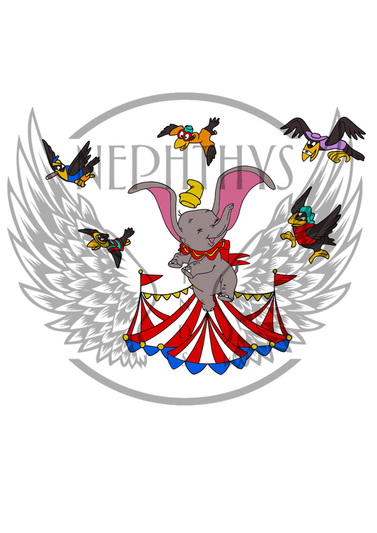 Don’t just fly, soar!